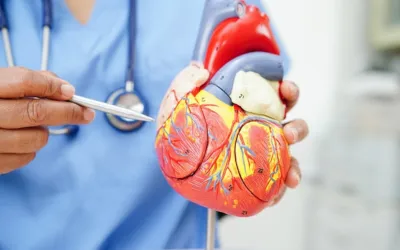 Cardiovascular-Disease