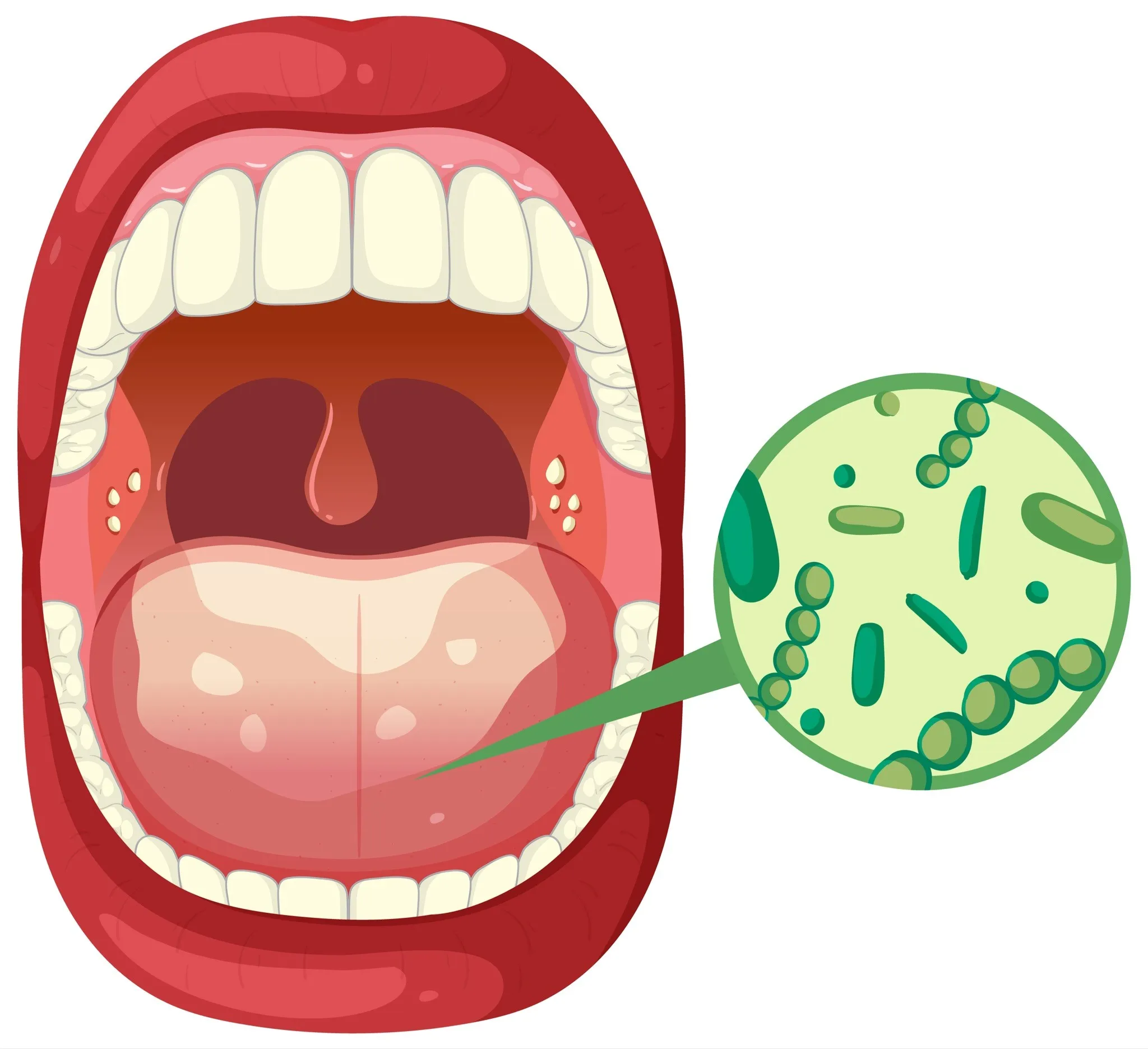  The-Mouth-and-Body-Connection