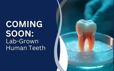 Coming Soon: Lab-Grown Human Teeth